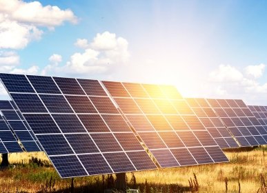 untitled design (83)